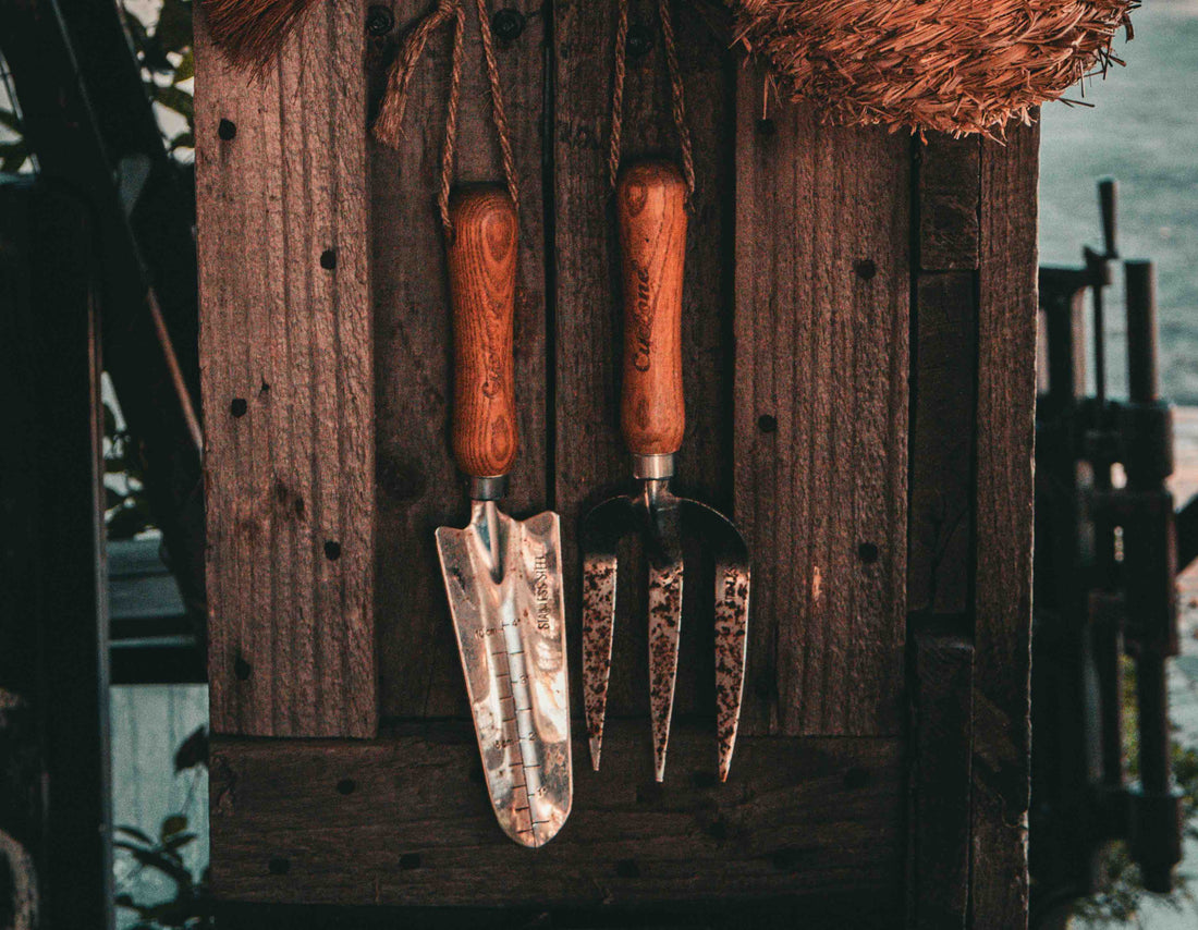 The Trowel and Fork: A Gardener’s Most Important Tools
