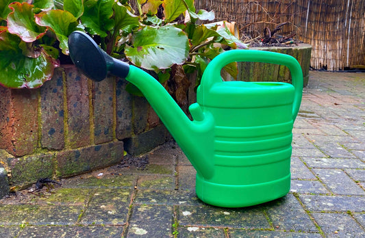 10L green plastic watering can with black rose sprinkler head