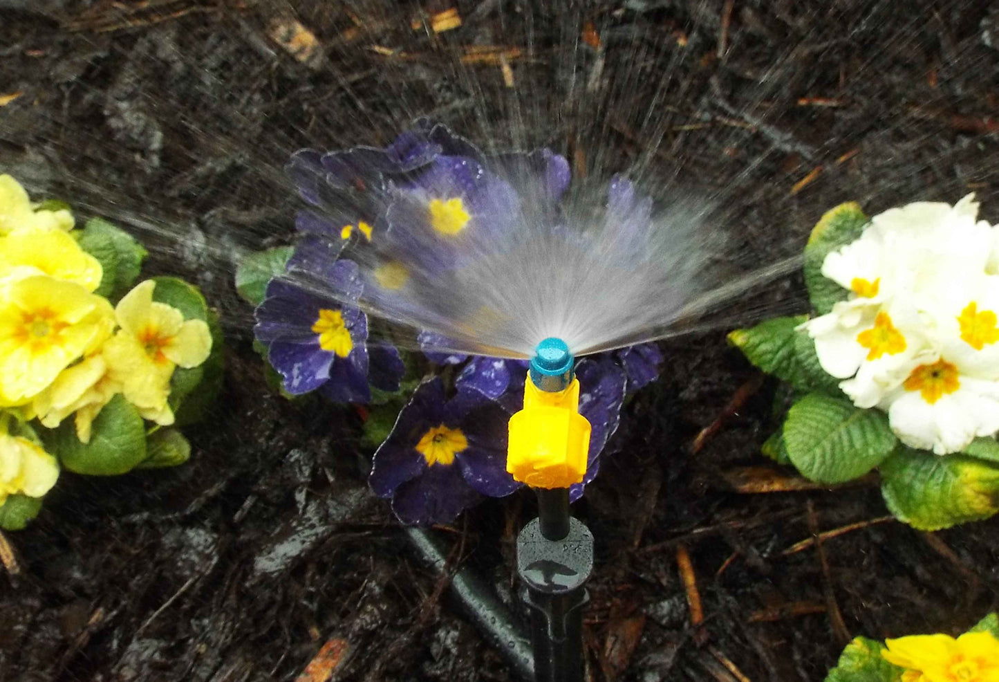 Yellow and blue Vari-Jet 180° spray connector mounted above garden nozzle