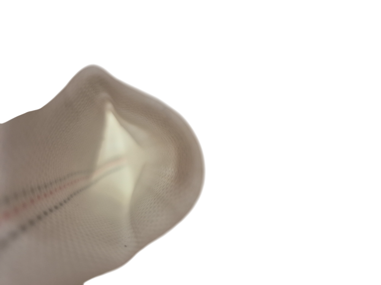 Lay Flat 2" Lined Schlauch, Blick auf das Innenfutter am offenen Ende