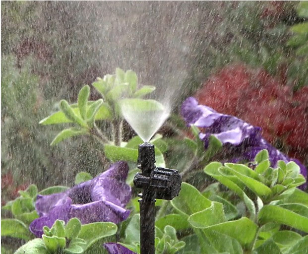 Black sprayer nozzle spraying fine mist onto plants