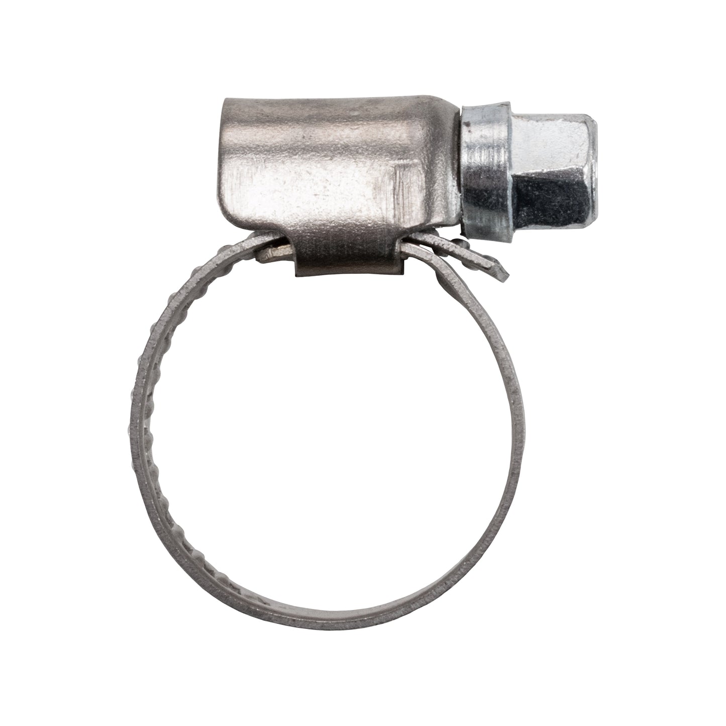 Schlauchschelle Ansicht von der Seite, Metallgehäuse und Spannband