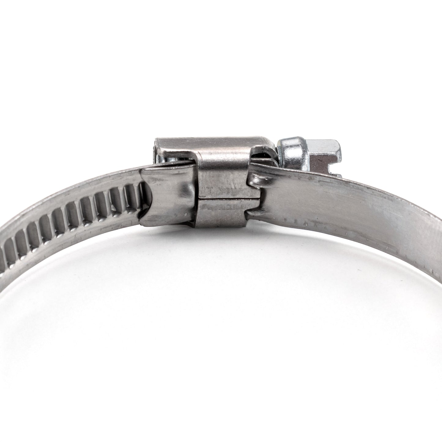 A2 hose clip close-up: band, metal buckle, and screw tightening point