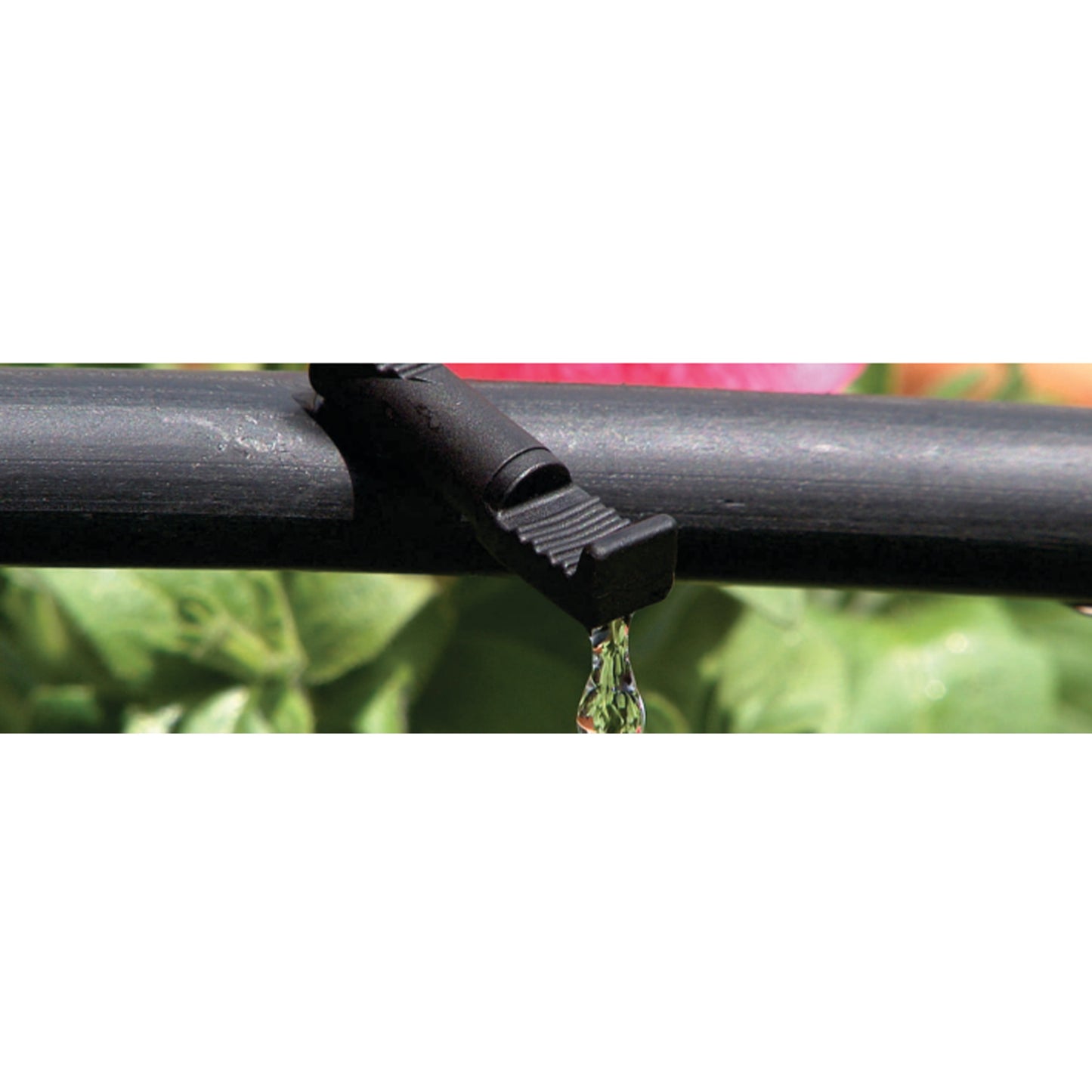 Black 4 mm barb drip emitter releasing a single drip from the outlet