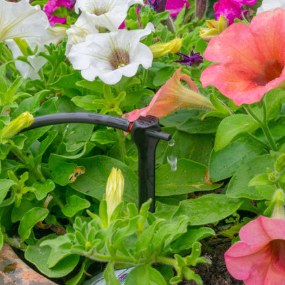 Black irrigation spike dripper spraying water into garden plants
