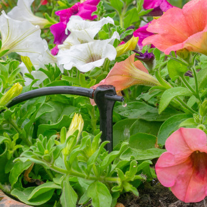 Black drip spike with water release at the nozzle among flowering plants