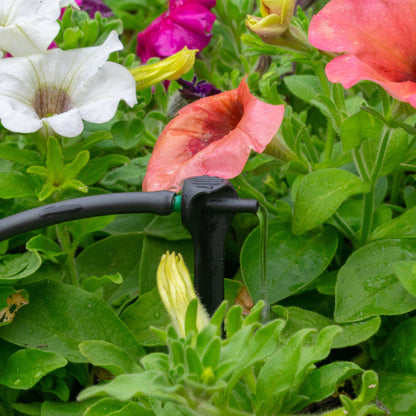 Green drip nozzle and black pressure-compensating spike on irrigation hose