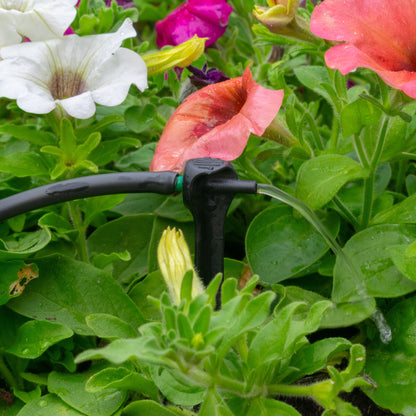 Drip irrigation spike dripper attached to hose with green flow tip