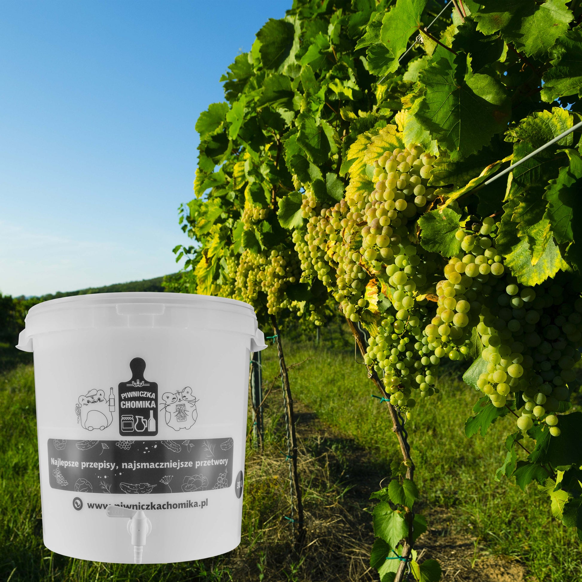 Home Brew Bucket 30L z kranikiem, dwa wiadra obok siebie