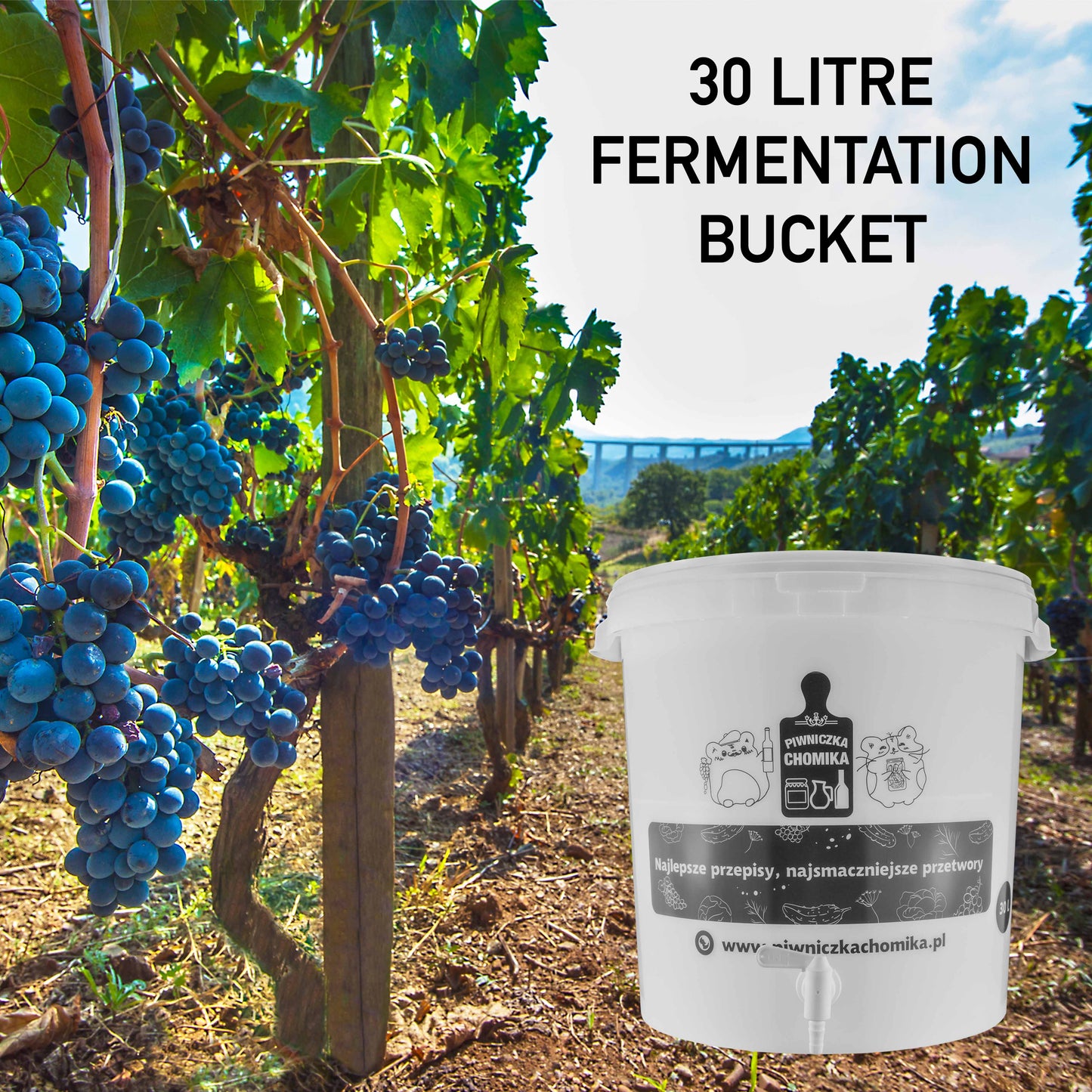 30L fermentation bucket with tap, front view