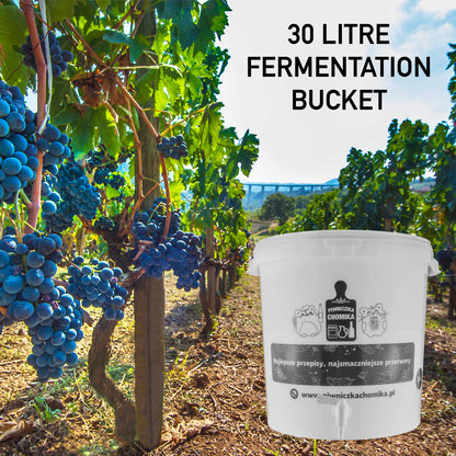 30L fermentation bucket with tap, front view