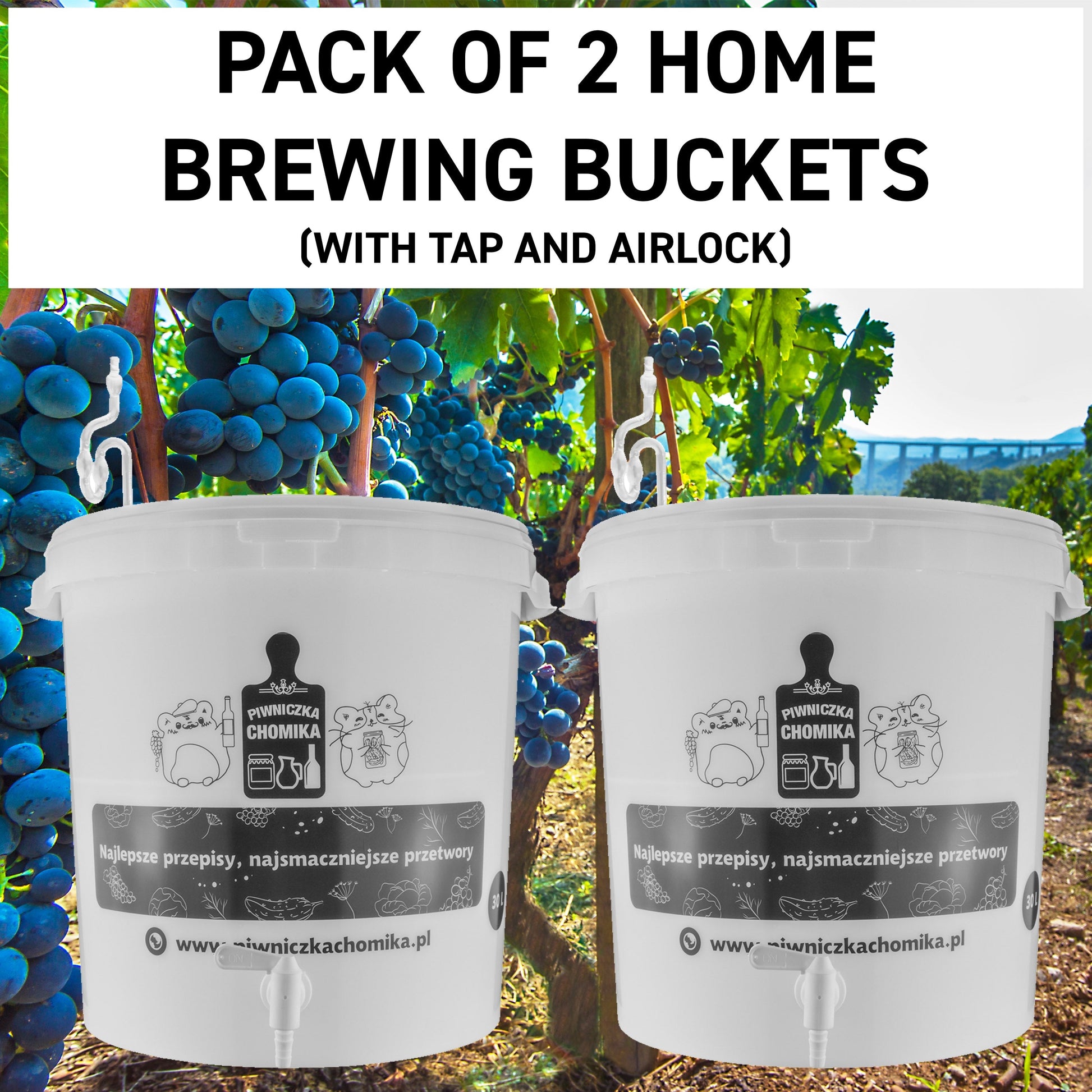 Pack of 2 home brewing buckets (30L) with tap and airlock