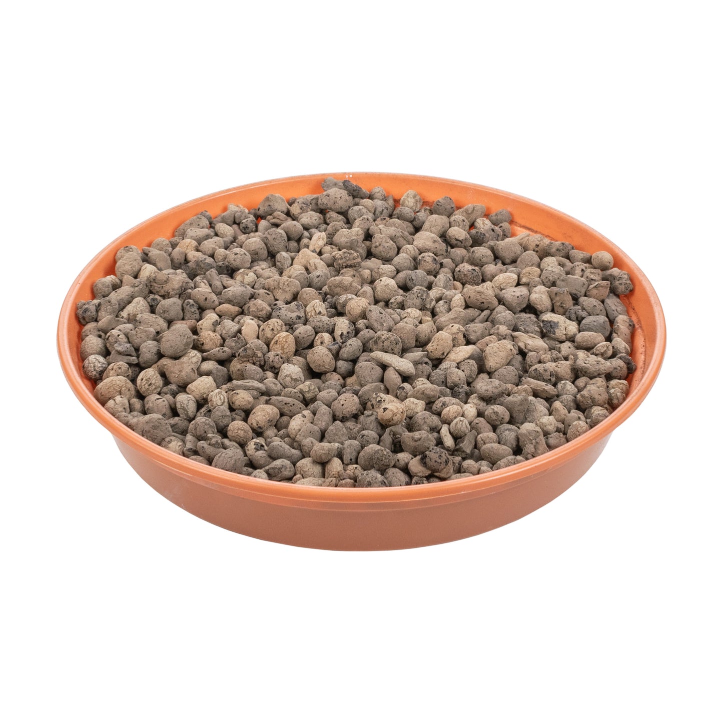 Keramzyt 4–8 mm in orangefarbenem Schälchen, viele graubraune Kügelchen
