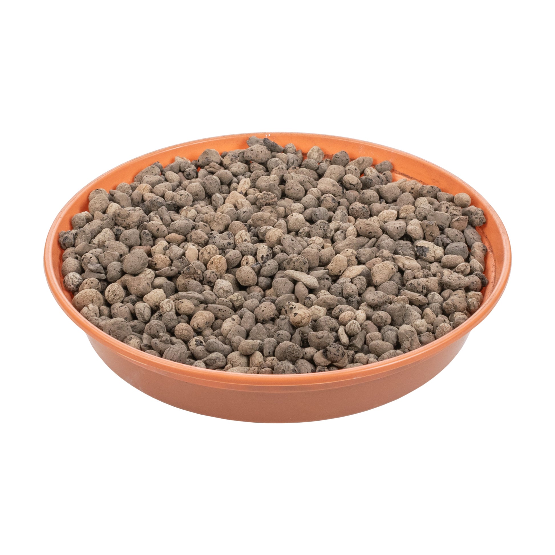 Keramzyt 4–8 mm in orangefarbenem Schälchen, viele graubraune Kügelchen