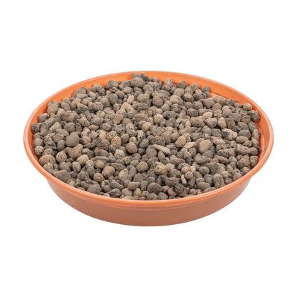 Keramzyt 4–8 mm in orangefarbenem Schälchen, viele graubraune Kügelchen
