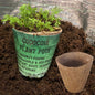 Coco coir plant pot with green sprout in biodegradable coconut-fiber container
