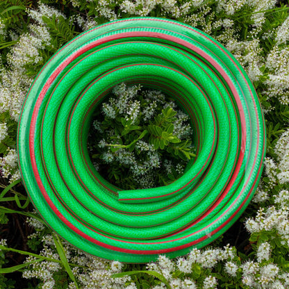 6-layer garden hose, 1/2 in, green coil with red stripe, overhead view