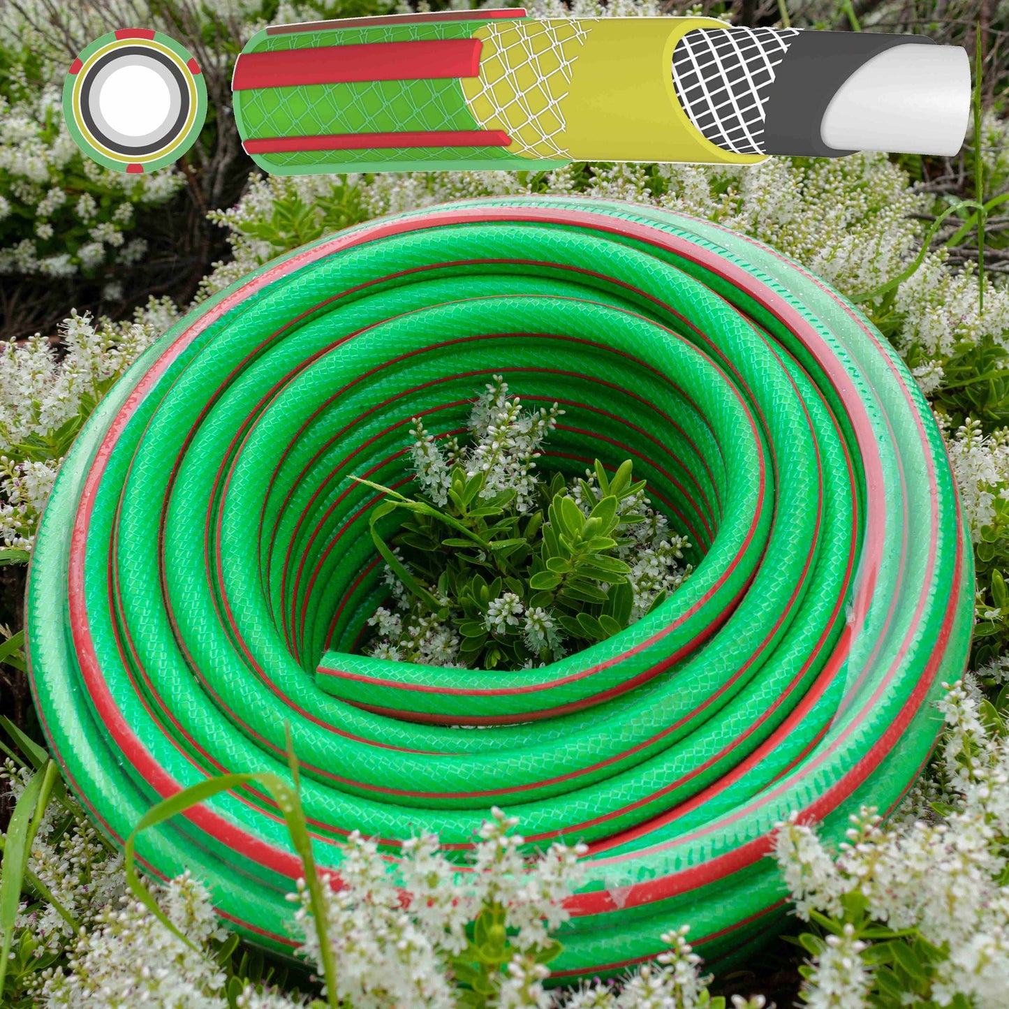 6-layer garden hose, 1/2 in, green with red stripe, coiled on grass and flowers