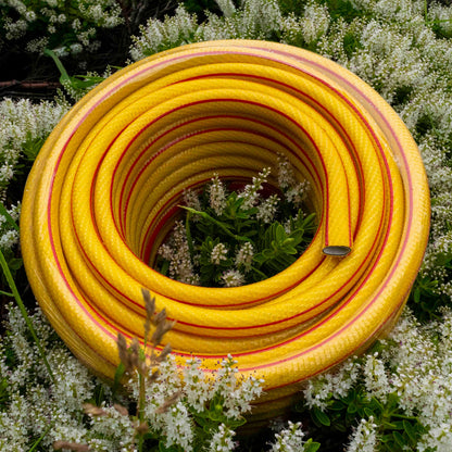 Coiled yellow 6-layer garden hose (1/2 inch) with red stripe and metal hose plug