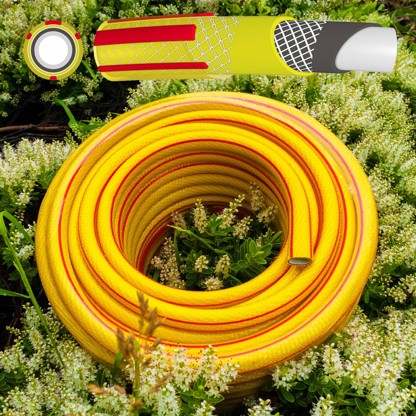 Yellow 6-layer garden hose (1/2 inch), red stripe, coiled with fitted end piece