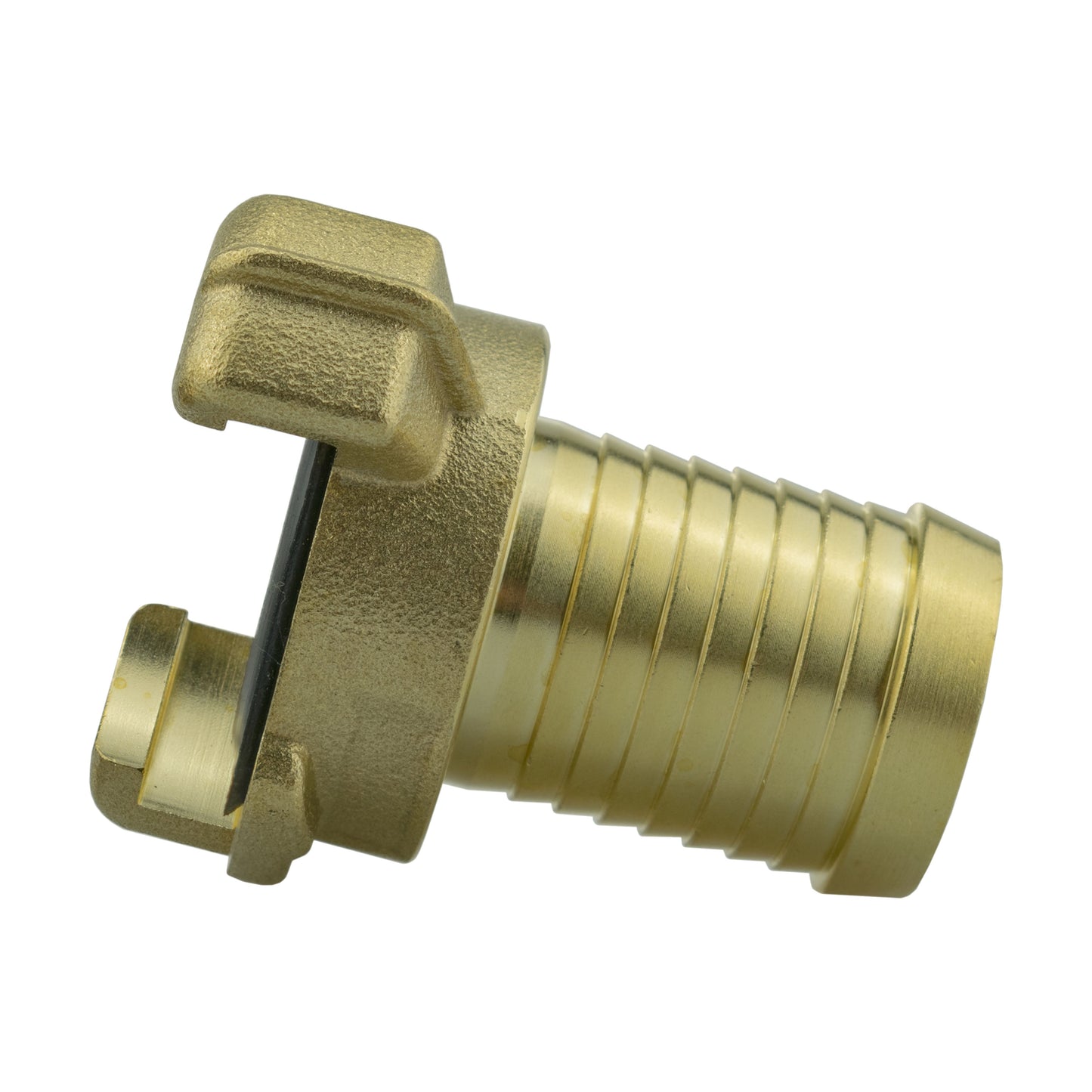 Brass claw coupling with barbed hose tail, black rubber seal detail, angled view