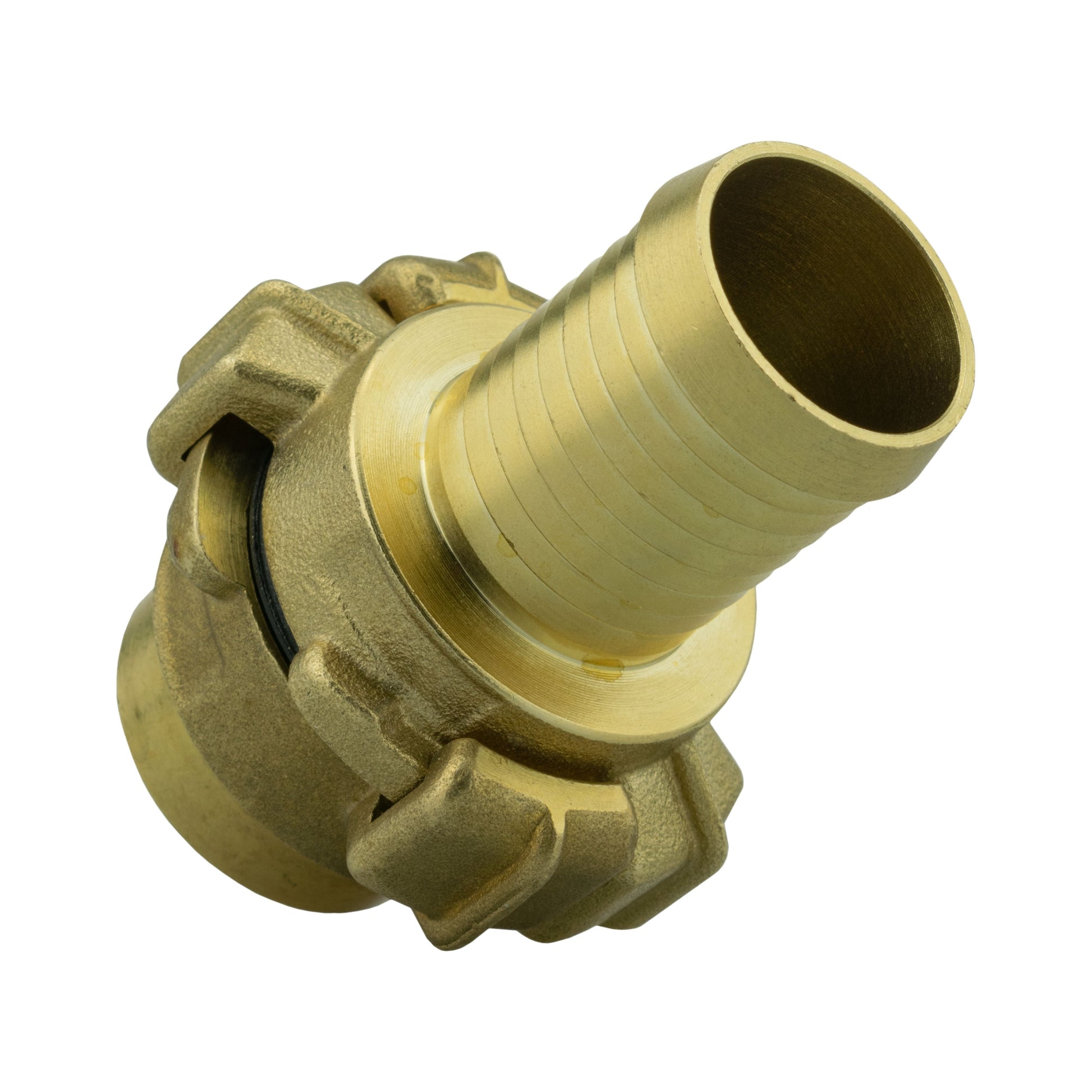 Brass barbed hose tail fitting with black O-ring seal, close-up end view