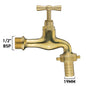 Polished brass garden tap with 1/2" BSP thread and 19mm barb outlet