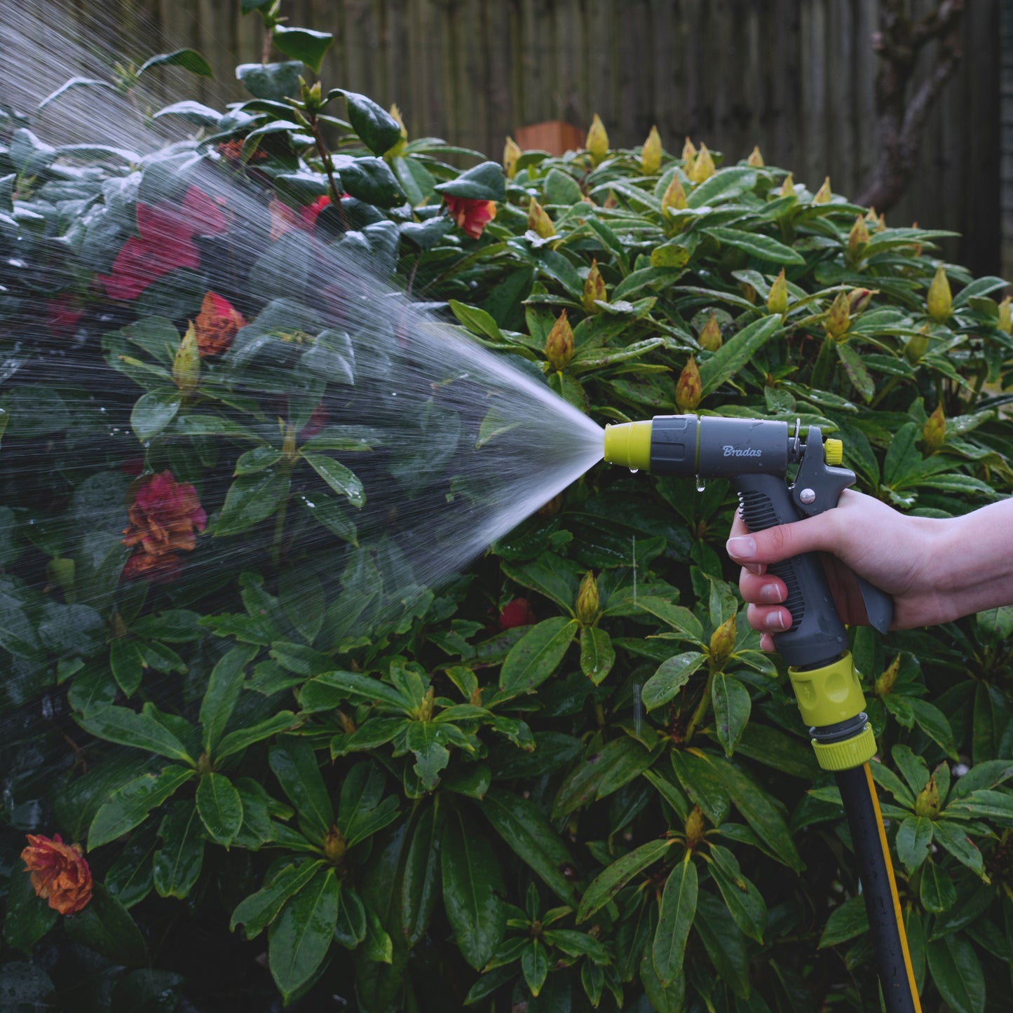 Einstellbare Gartenschlauch-Wasserspritzpistole, Limette, breiter Sprühnebel