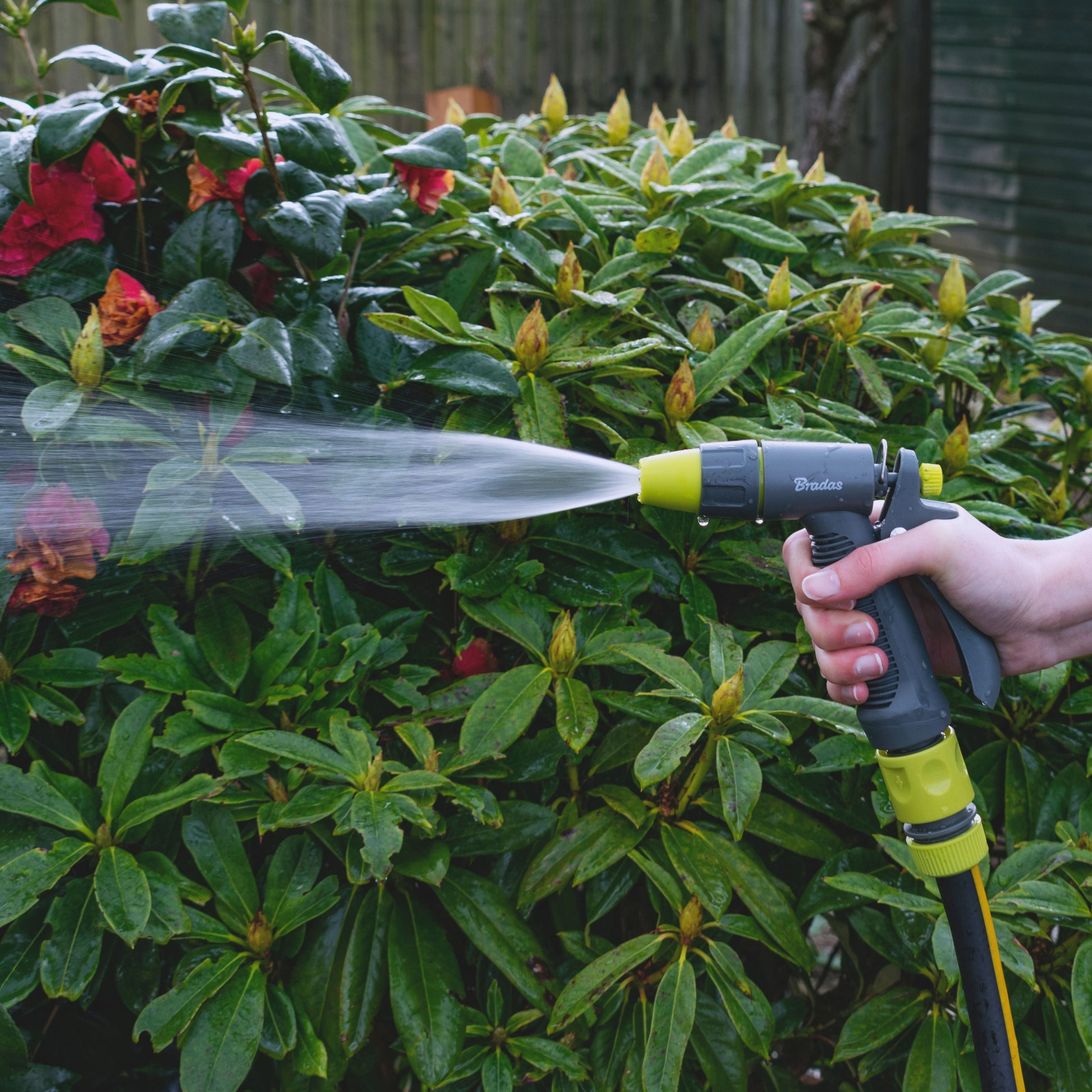 Einstellbare Gartenschlauch-Wasserspritzpistole, Limette, mit Sprühstrahl