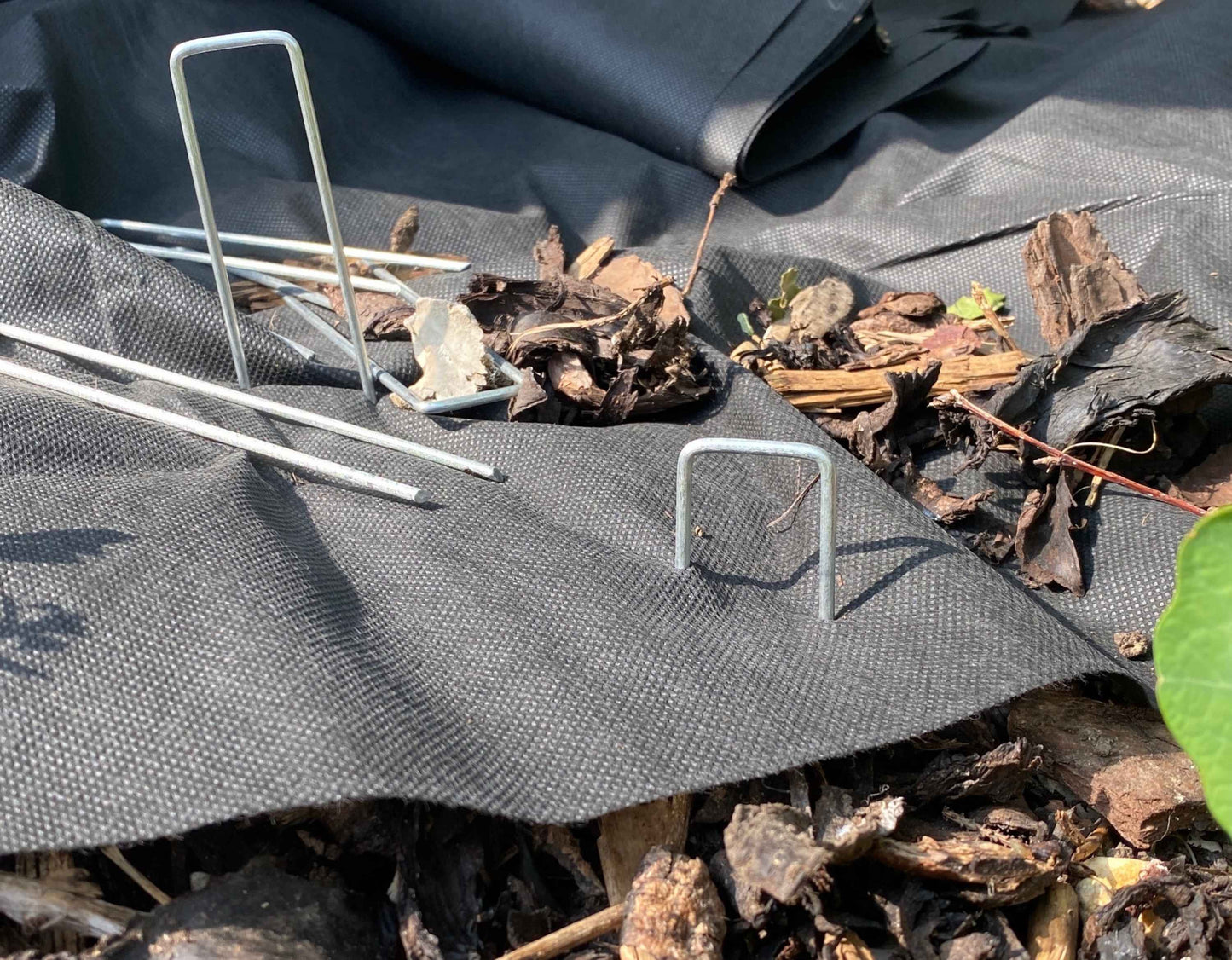 Weed mat staples holding dark fabric edge on outdoor ground