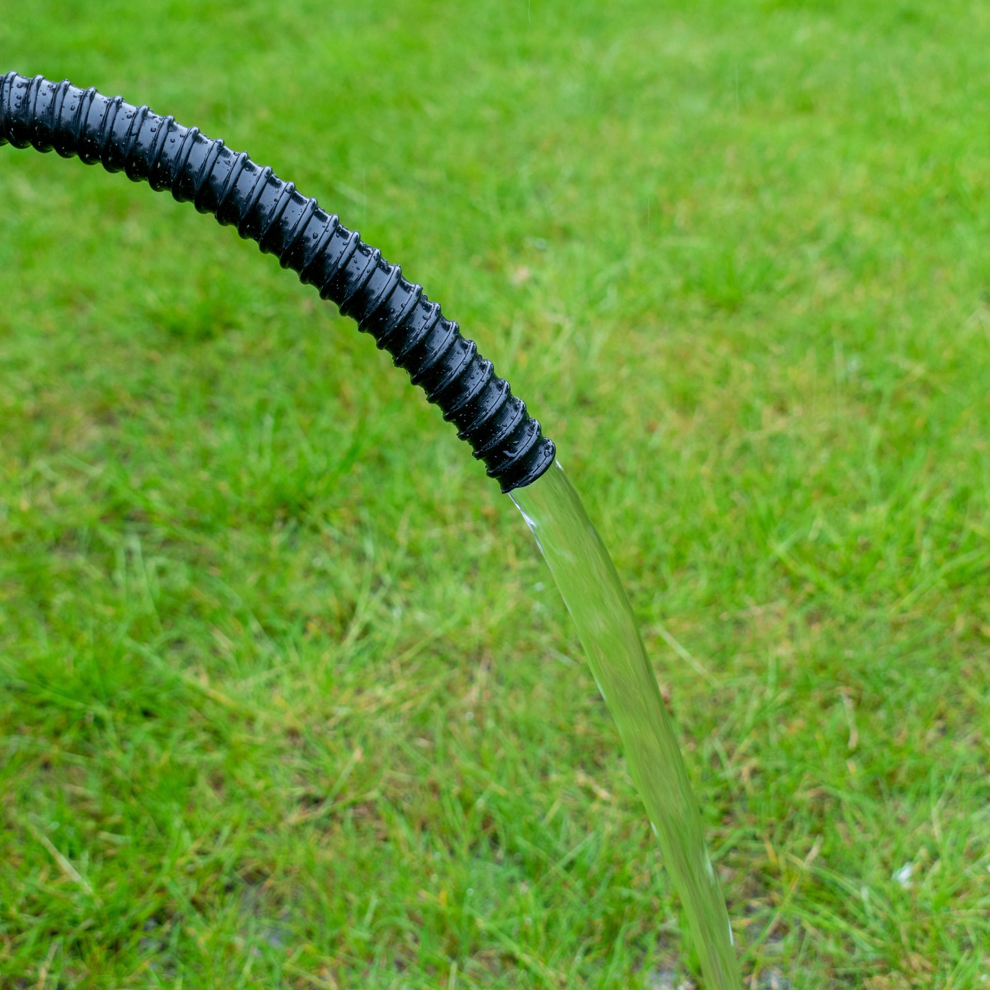 2 in (50 mm) corrugated pipe watering stream from black ridged hose