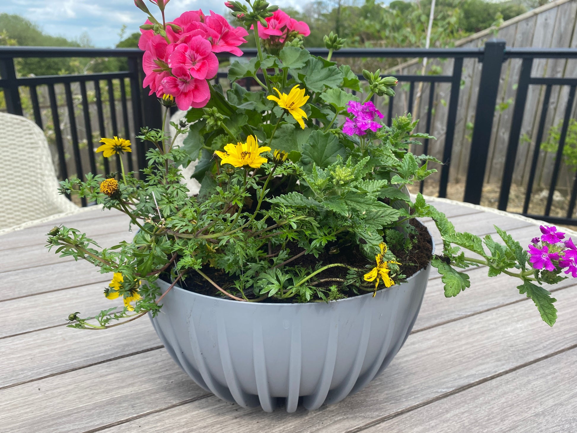 Gray bowl pot holding flowering plants