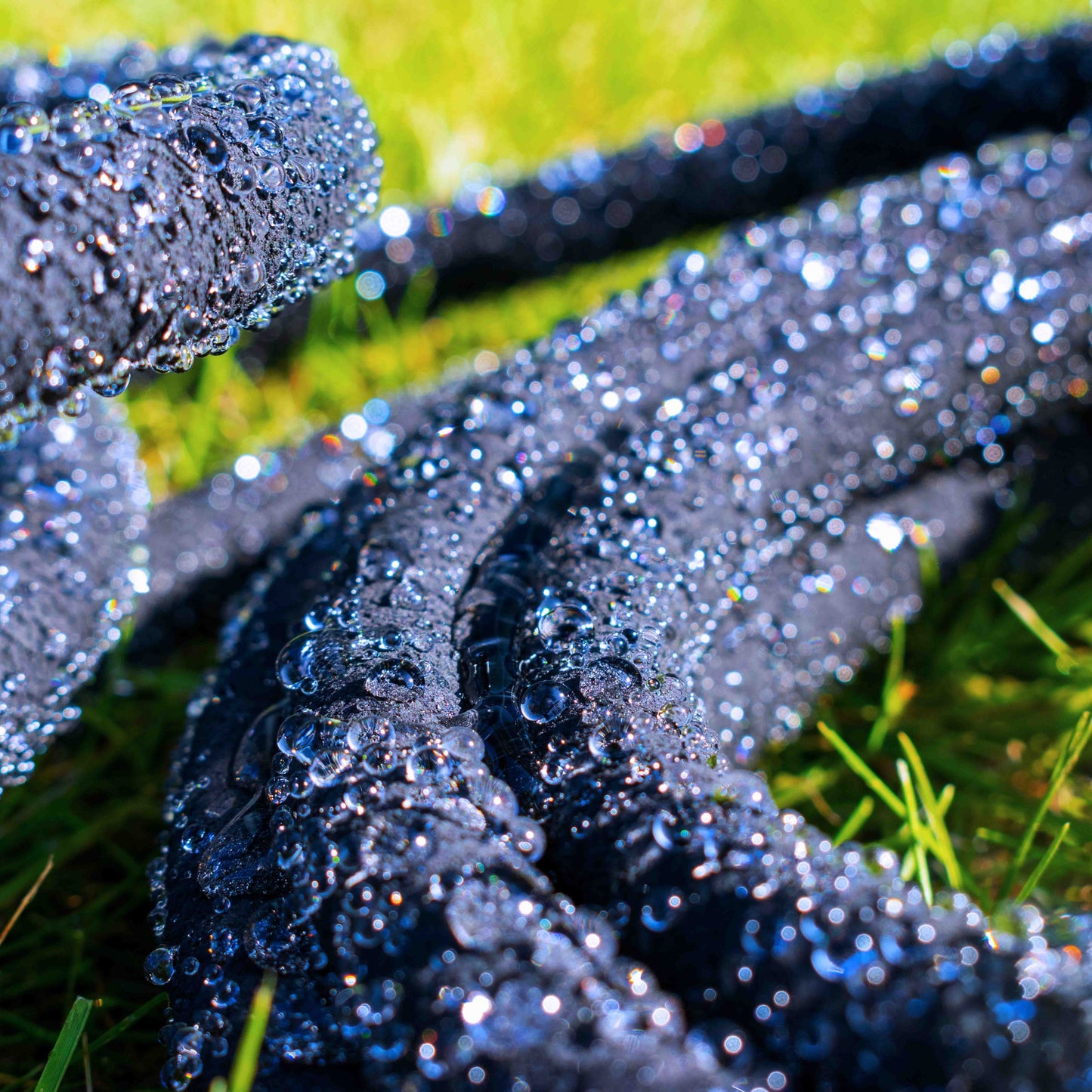 Black porous soaker hose spraying/oozing water, droplets sparkling on grass