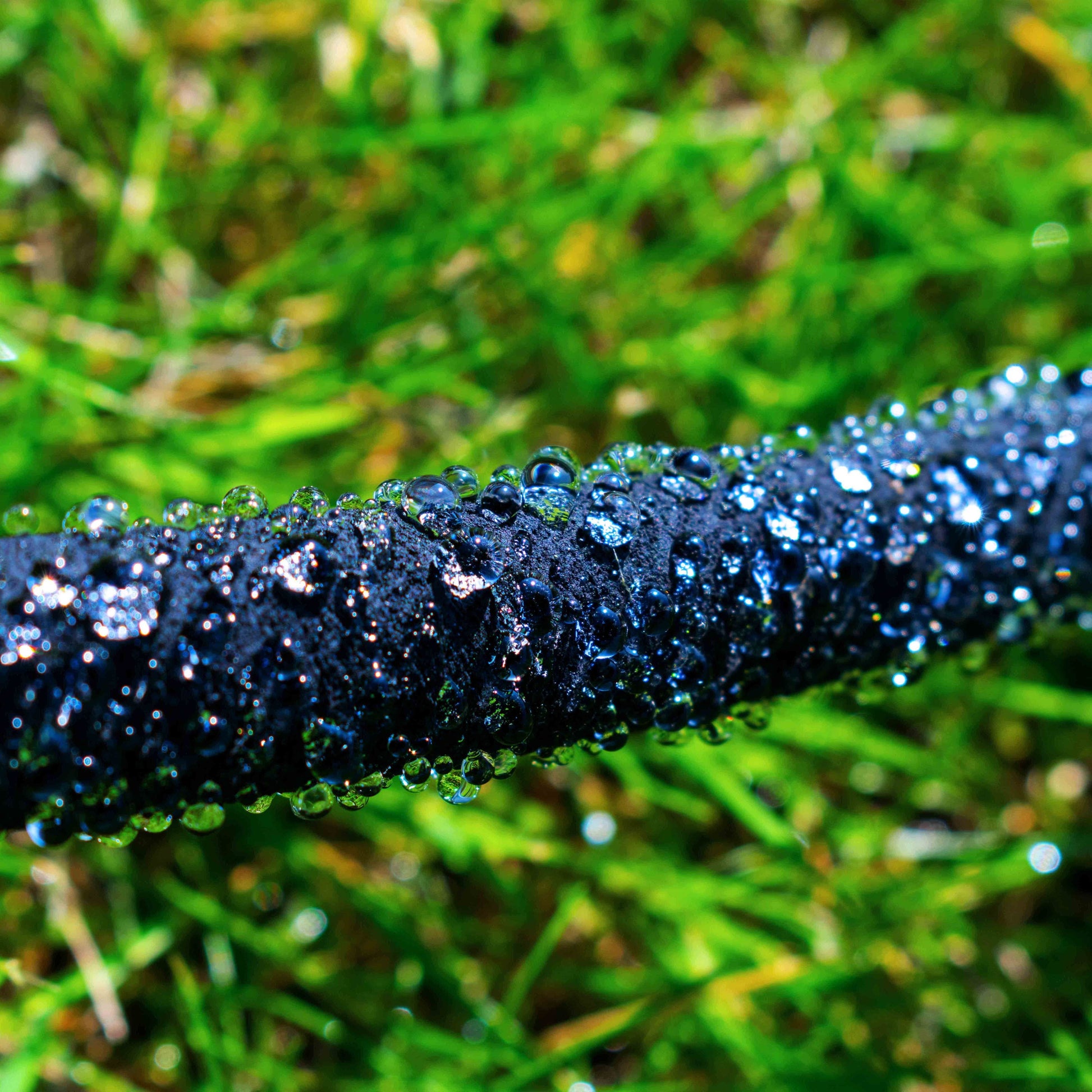 Black porous hose line with continuous beads of water along the surface