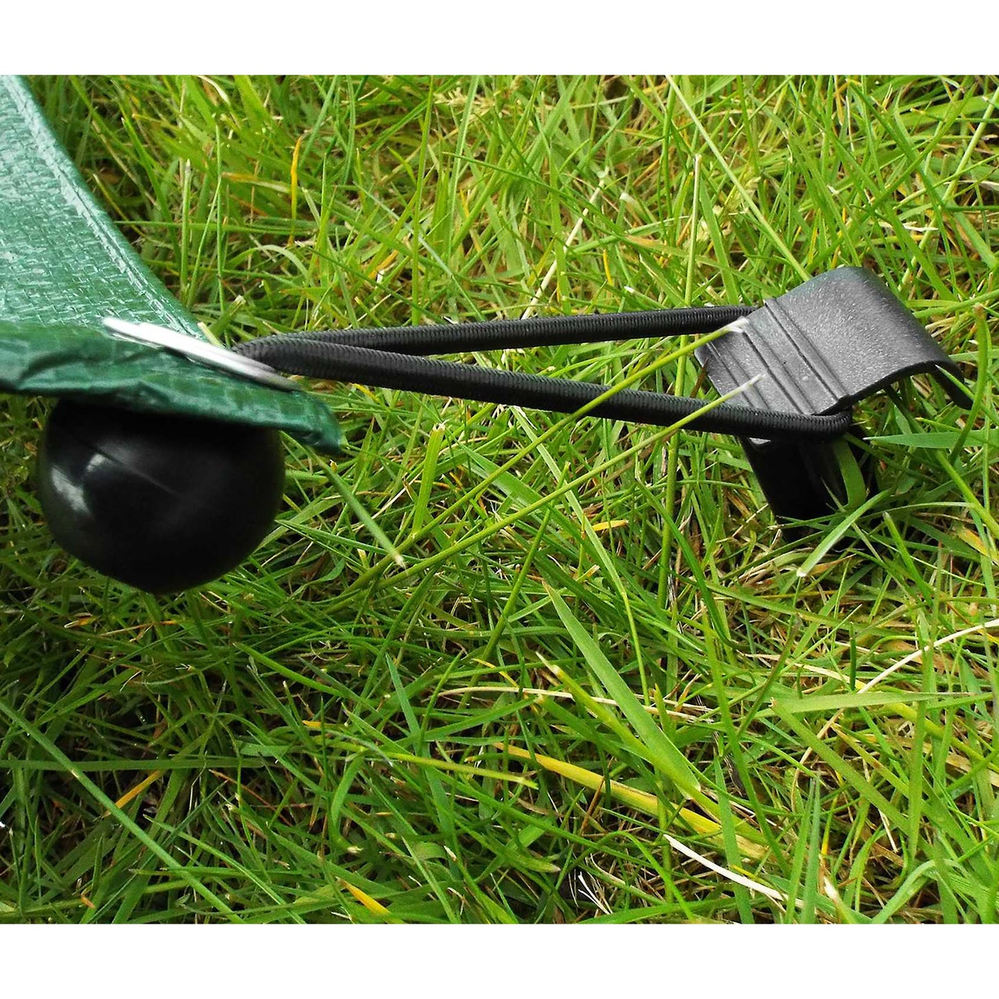 Ground stake securing a black irrigation pipe with an integrated U-shaped clip