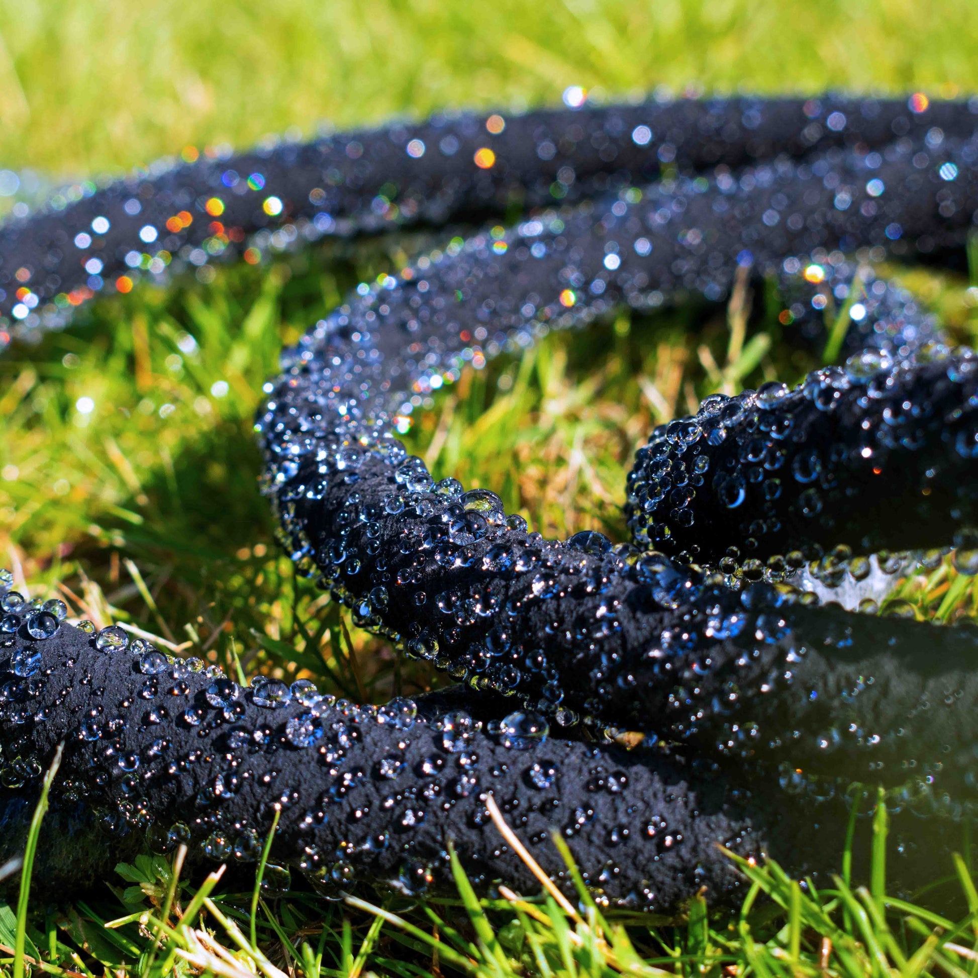Porous pipe with connector laid in grass, dark perforated tubing with flowing droplets