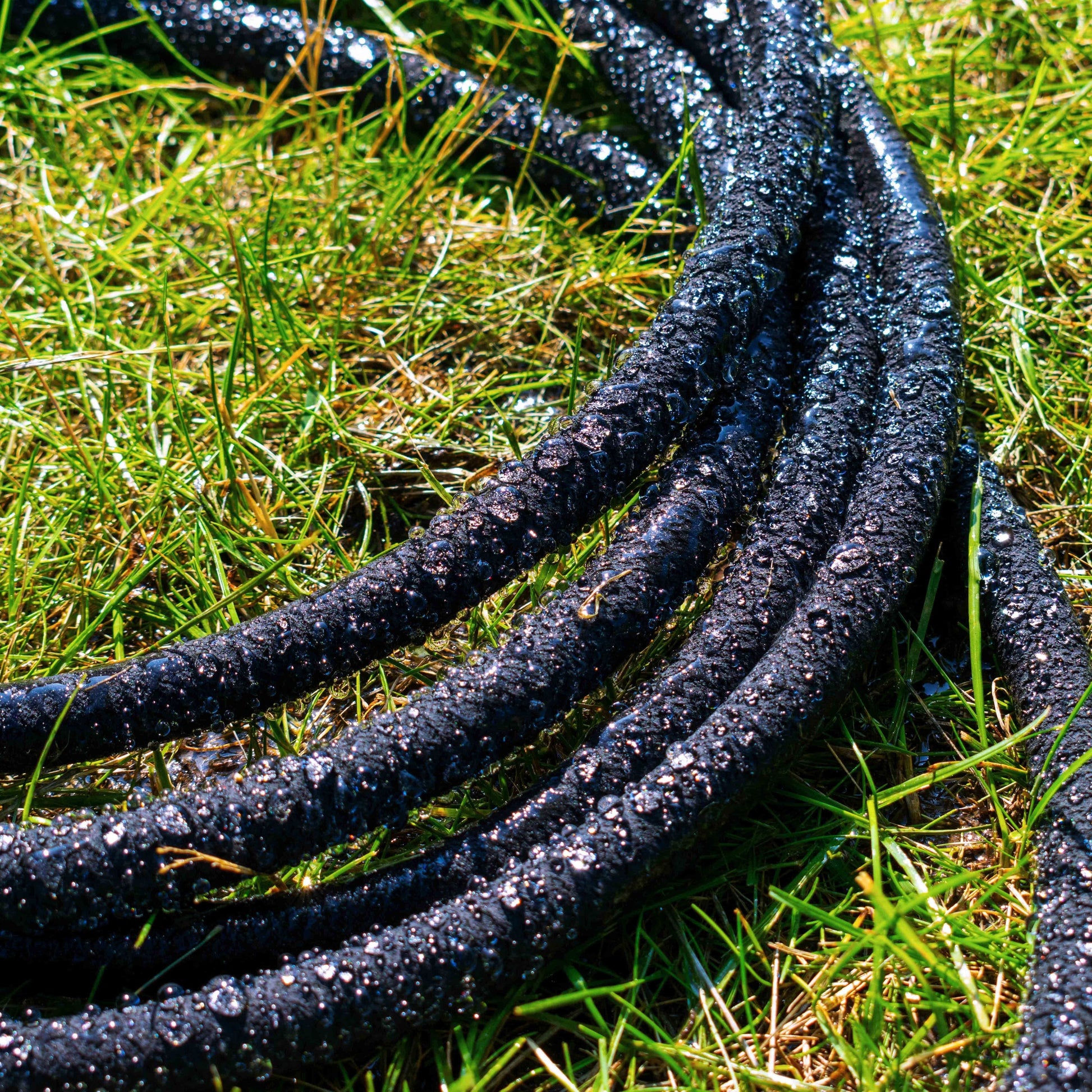 Dark porous pipe on grass, water droplets on perforated surface and connector end