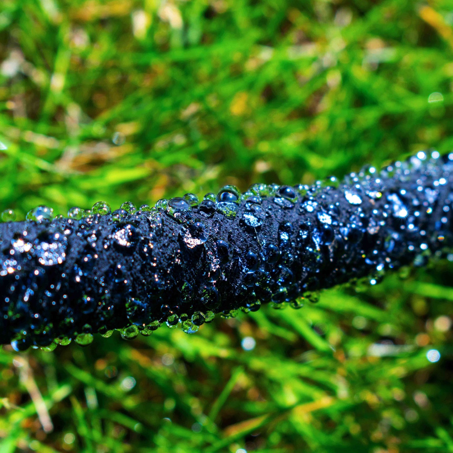 Line of water beads on dark porous soaker hose for even soaking