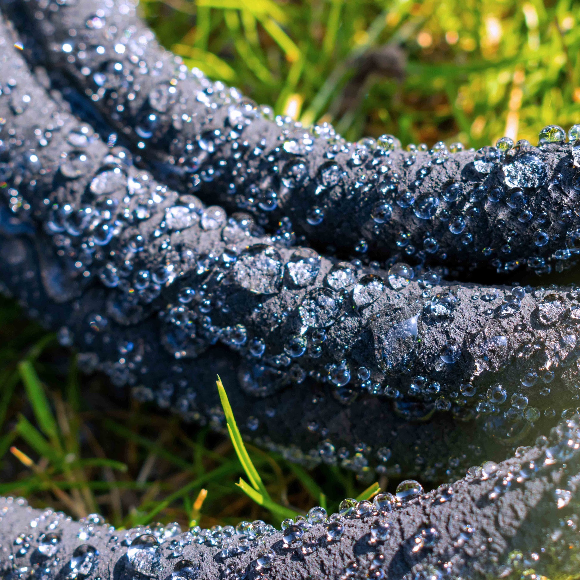 Porous soaker hose close-up, dark rubber with bubbling water seepage