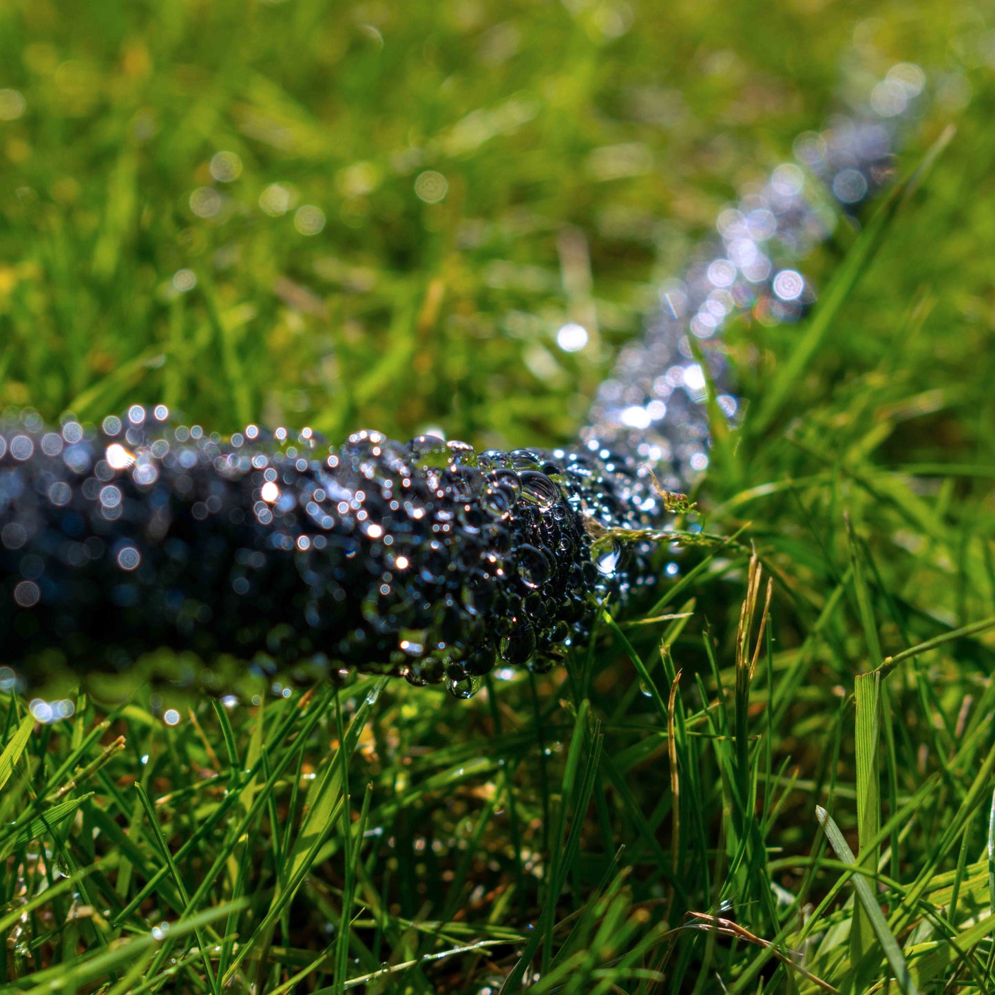 Porous pipe with connector, dark coil releasing water droplets in grass