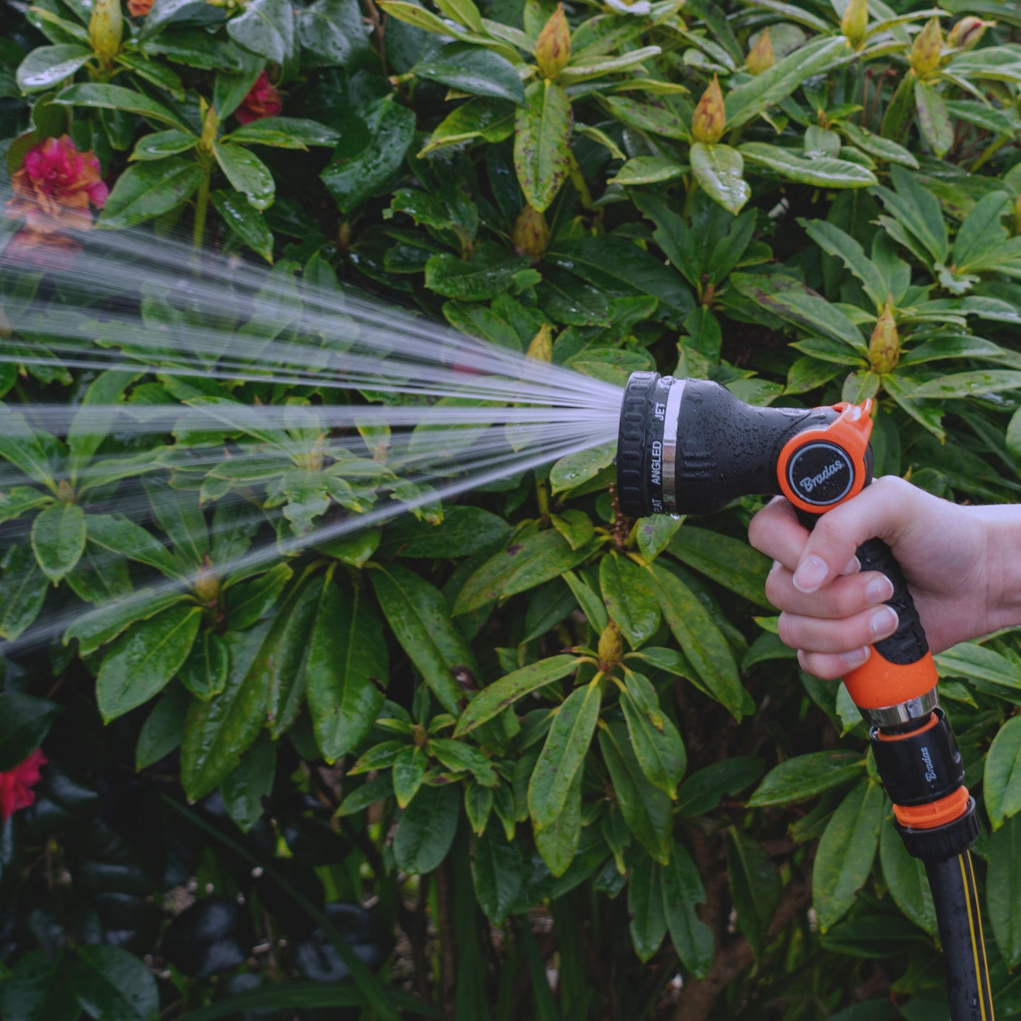 Orange-and-black hose water sprayer with wide spray stream from nozzle