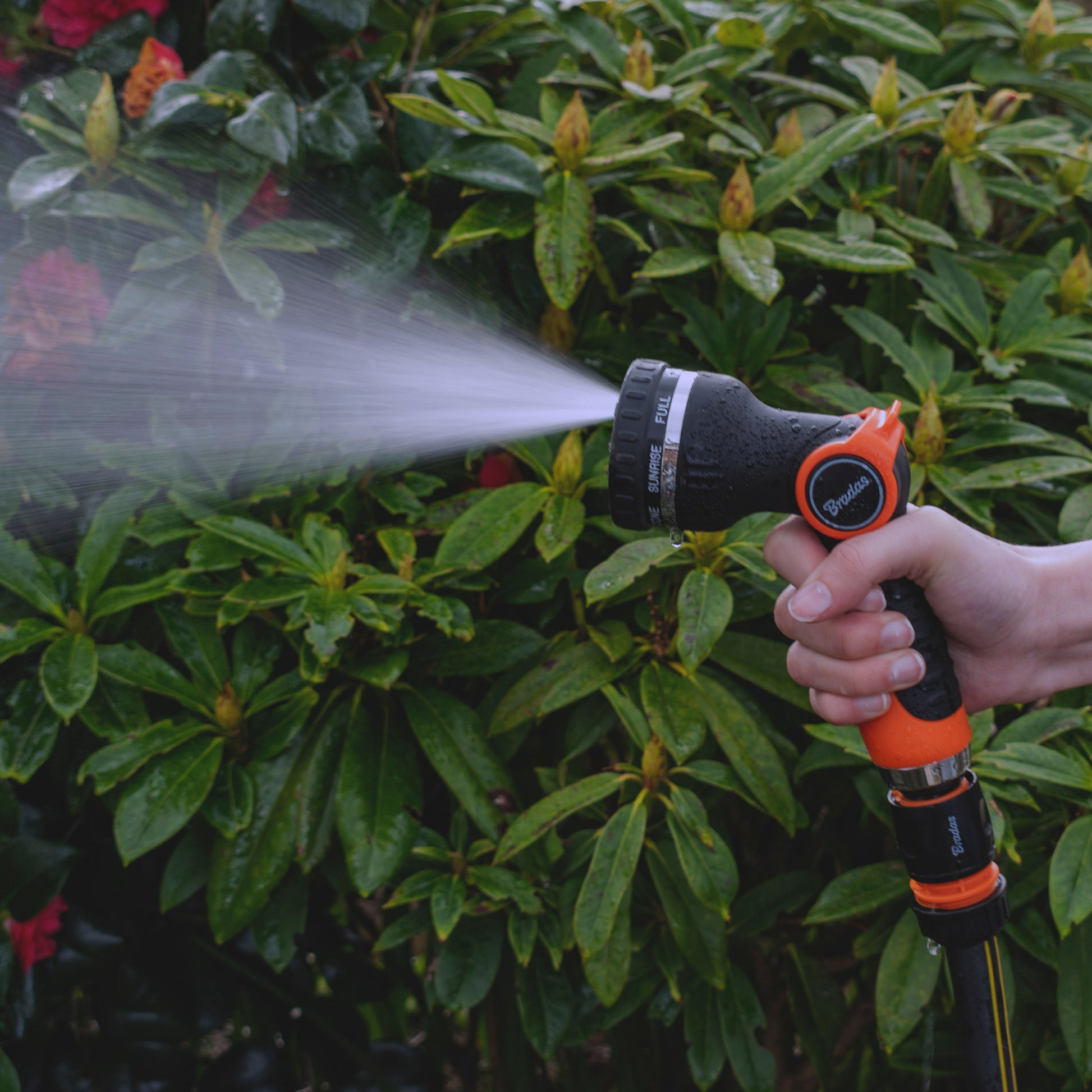 Fine mist spray from hose sprayer gun; orange nozzle dial visible