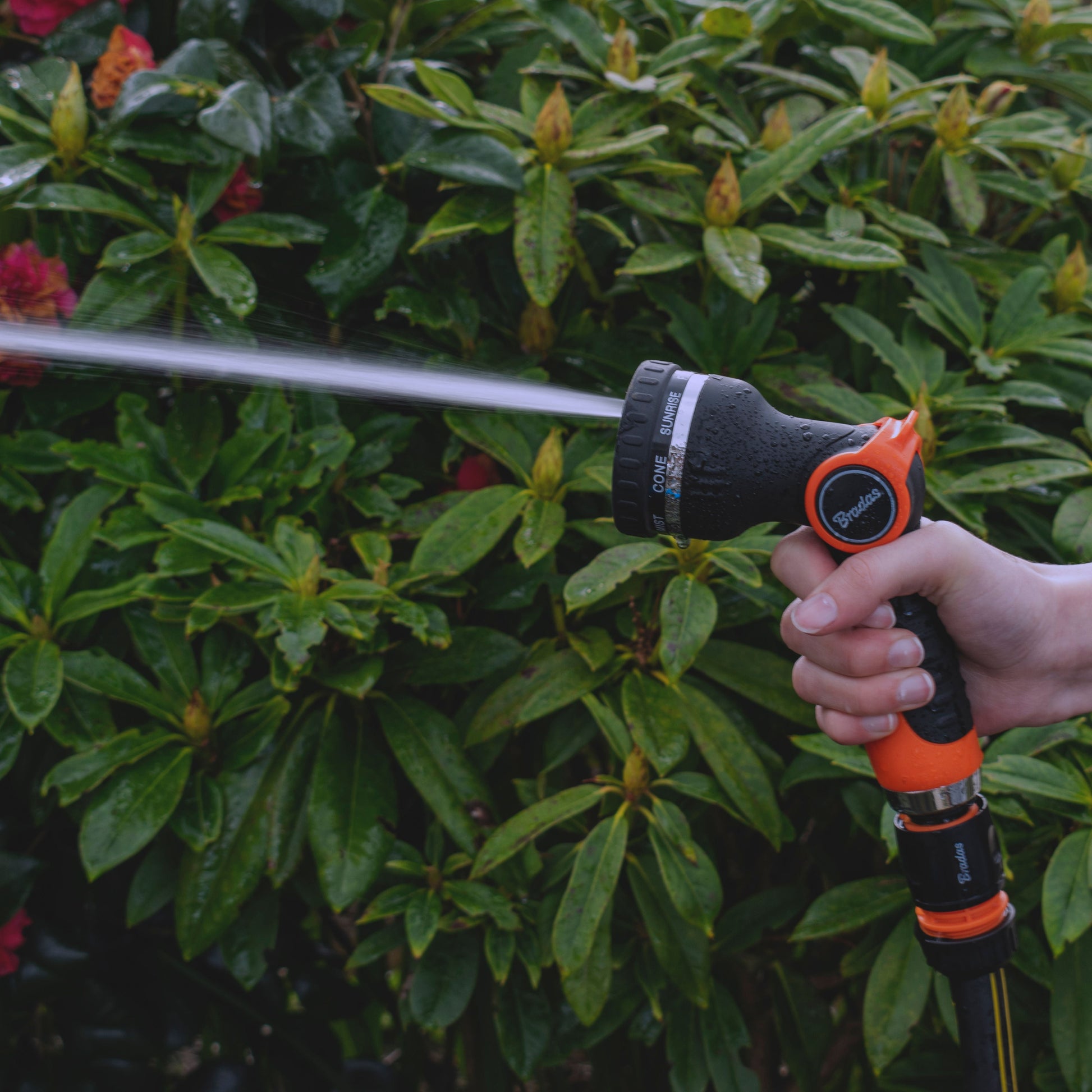Long reach spray from orange-and-black sprayer gun; nozzle dial on top