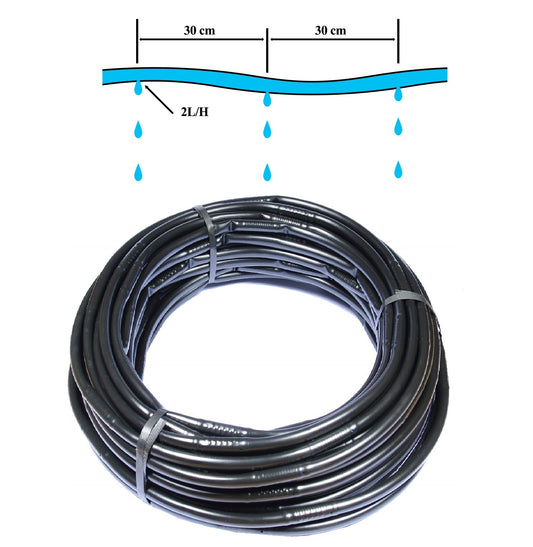 Drip Line Irrigation Pipe diagram with 2L/H drippers and spacing marks (30 cm)