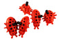 Ladybug dripper: red insect with black outlet tube and perforated watering surface