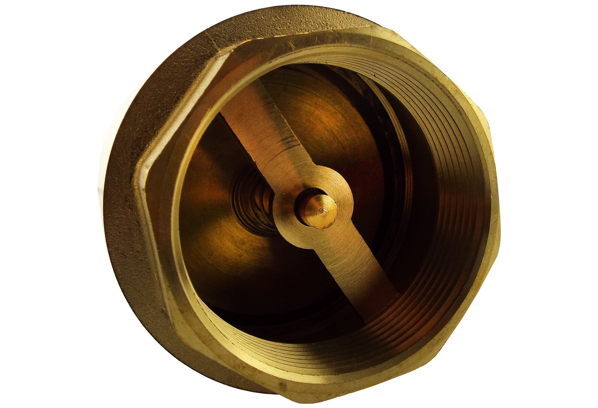 Brass spring check valve 1/2" BSPF, internal disc and spring visible through inlet