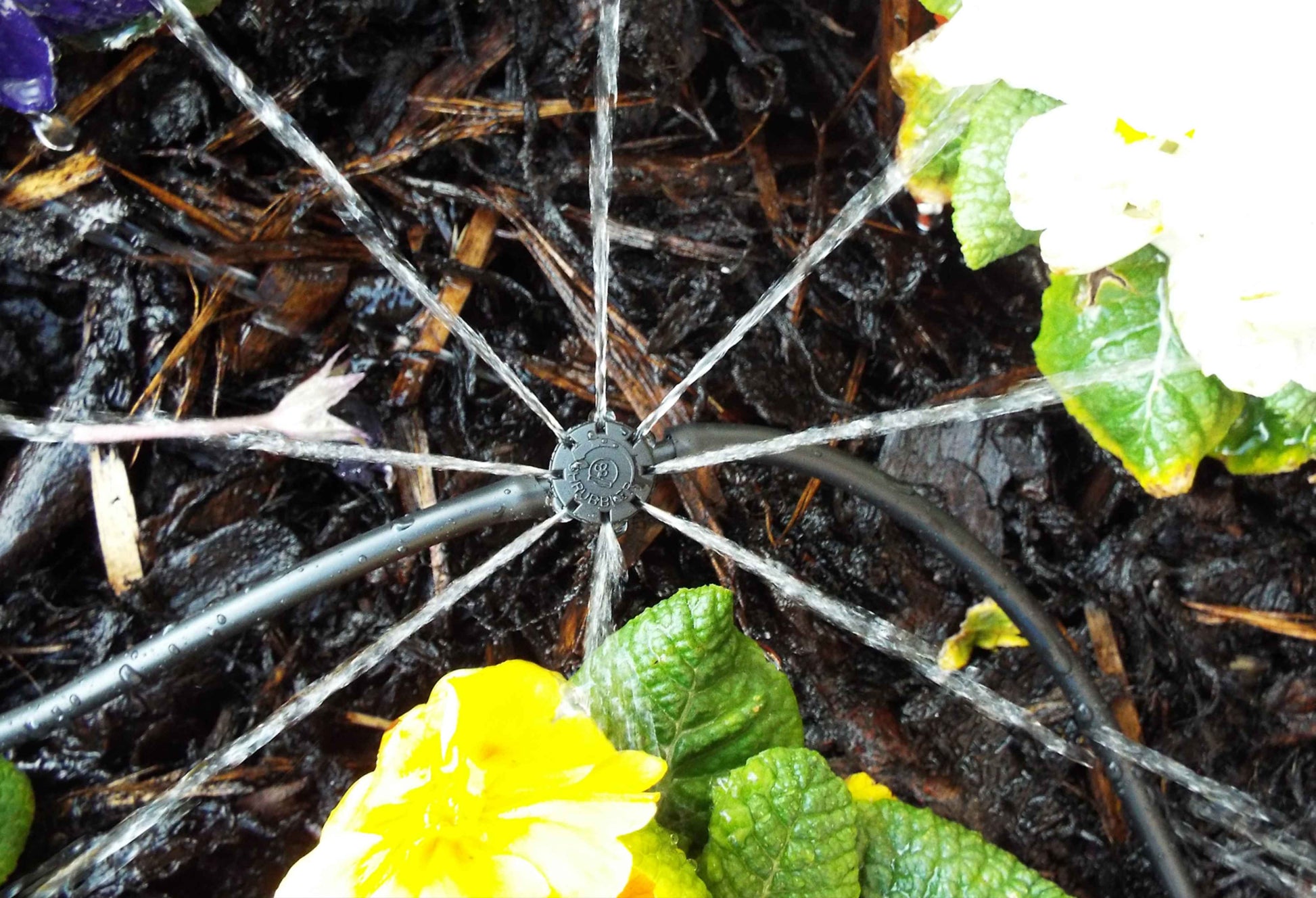 360° inline sprinkler head on spike with radial spray lines over soil